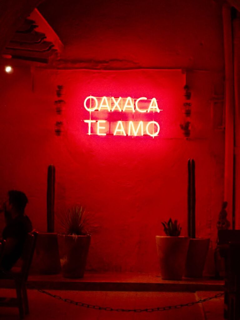 pink neon sign in restaurant reading "Oaxaca te amo".